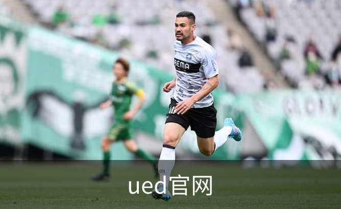 ued官网概况